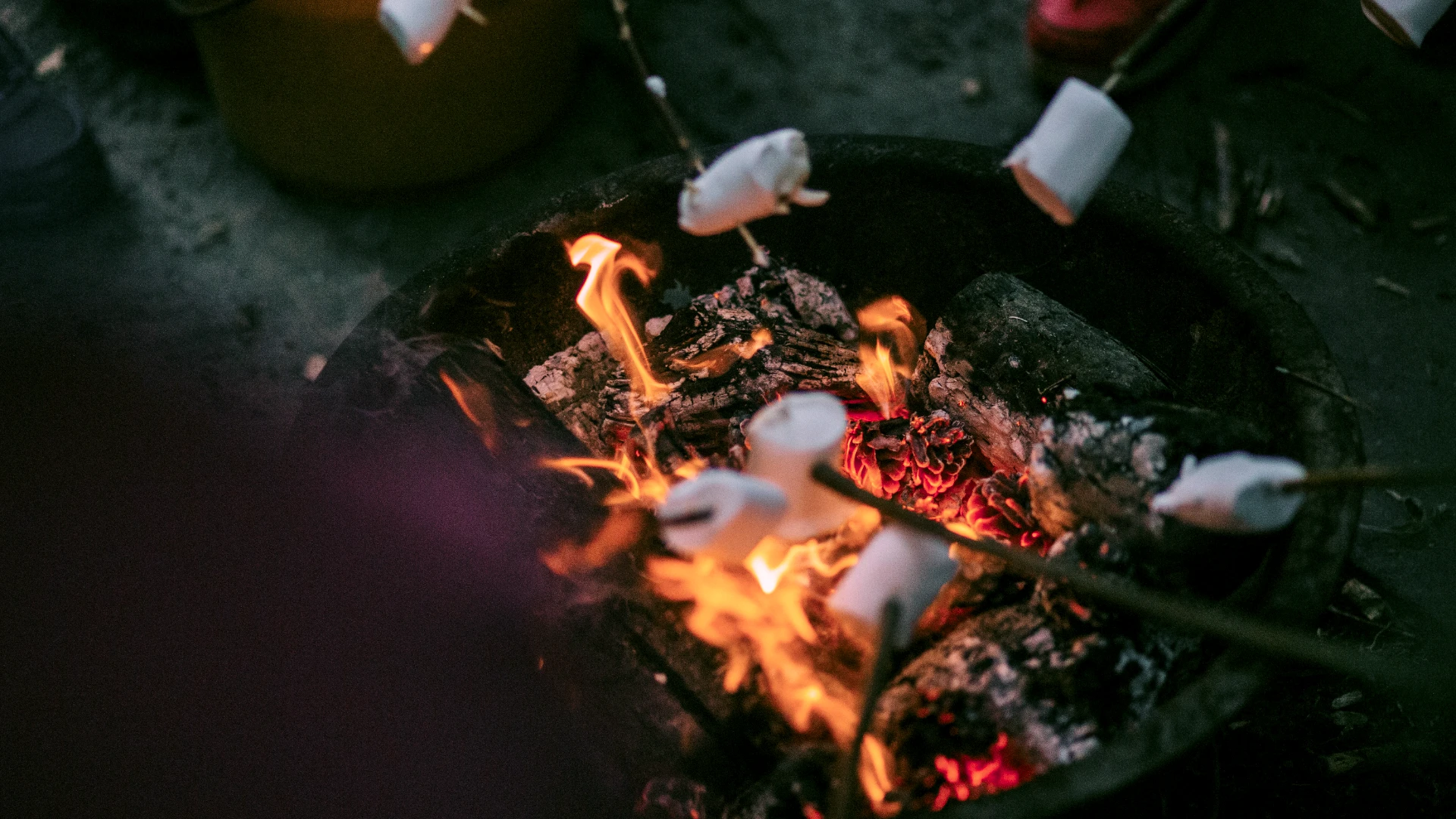 Firepit with marshmallows on sticks